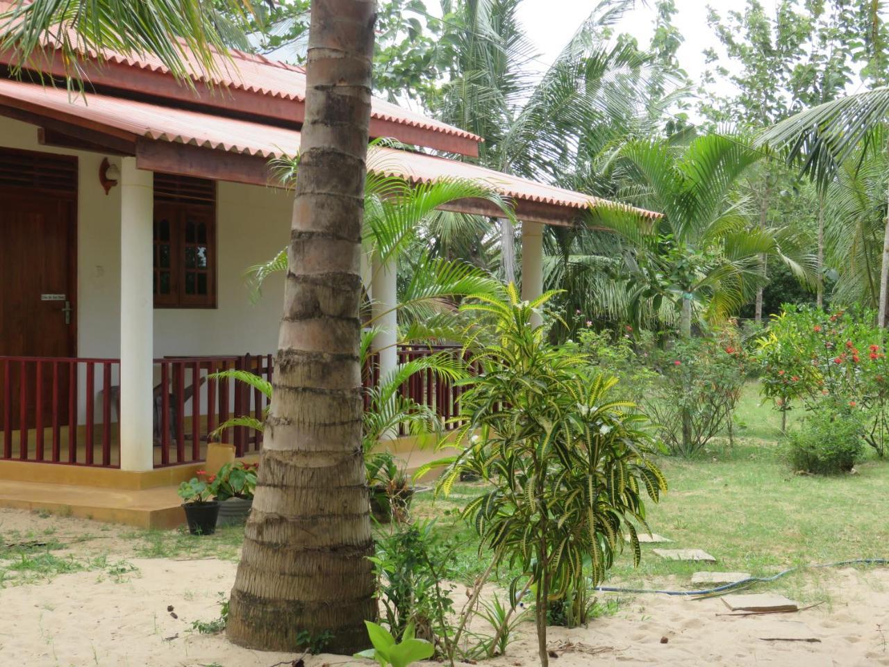 Beach Lagoon Guesthouse Tangalle Ngoại thất bức ảnh