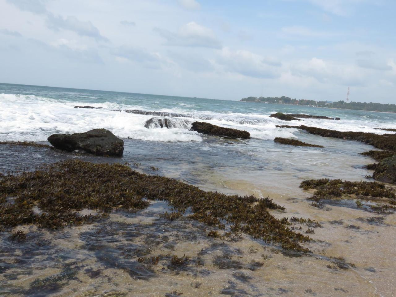 Beach Lagoon Guesthouse Tangalle Ngoại thất bức ảnh