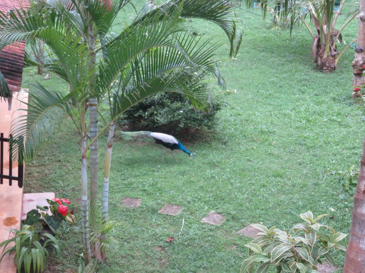 Beach Lagoon Guesthouse Tangalle Ngoại thất bức ảnh